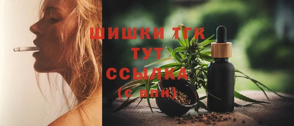 прущие грибы Верея