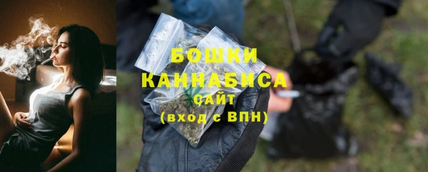 прущие грибы Верея