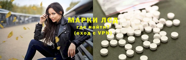 прущие грибы Верея