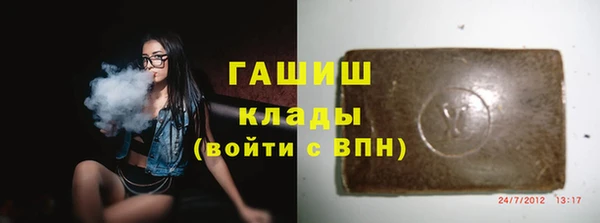 прущие грибы Верея