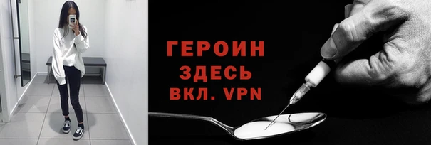 прущие грибы Верея