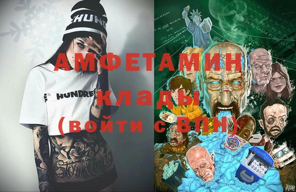 прущие грибы Верея